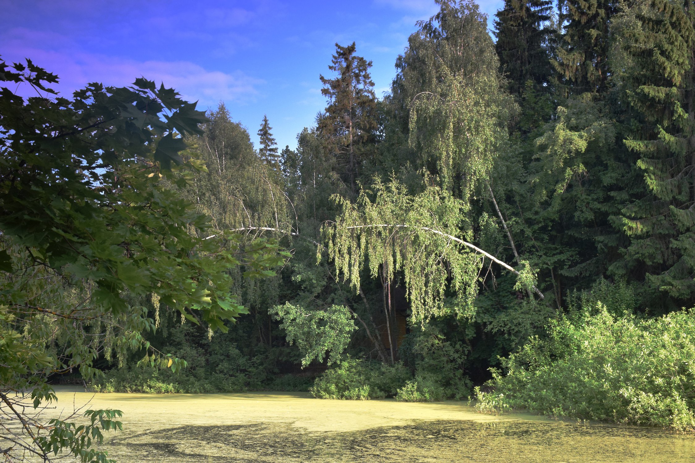 летнее томленье...