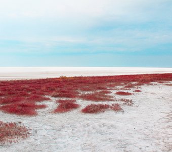 Соляная пустыня