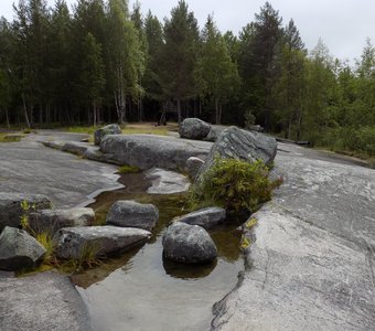 Суровая природа Русского Севера