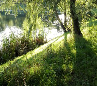 Здравствуй, лето!