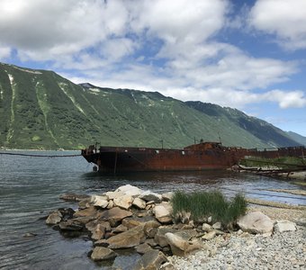 Тихая гавань