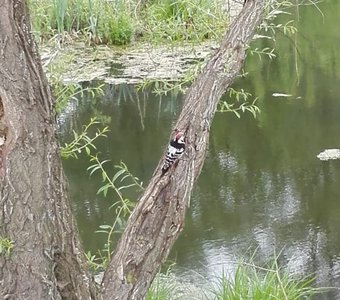 Майским утром