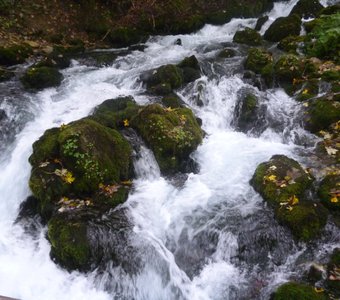 Маленький буян