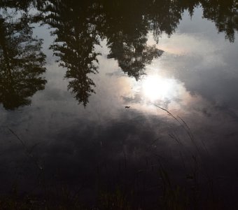любуясь на себя в воде...