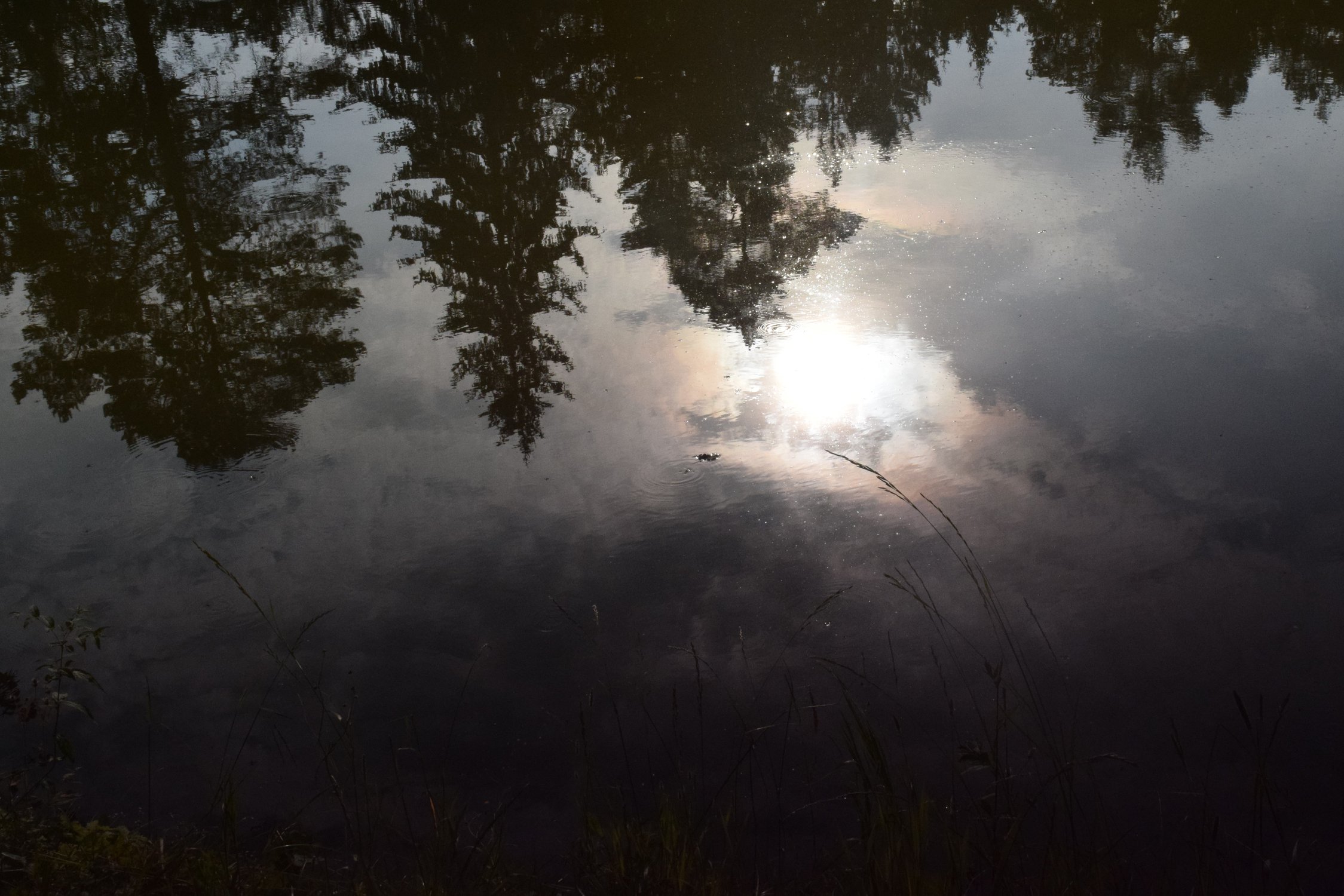 любуясь на себя в воде...