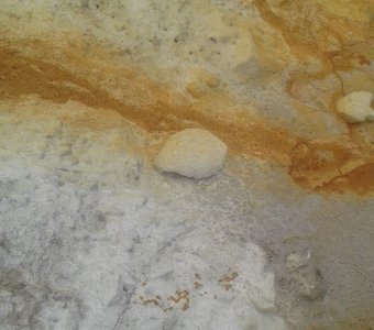 Рисунки природы