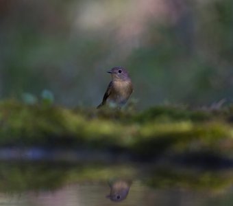 У воды