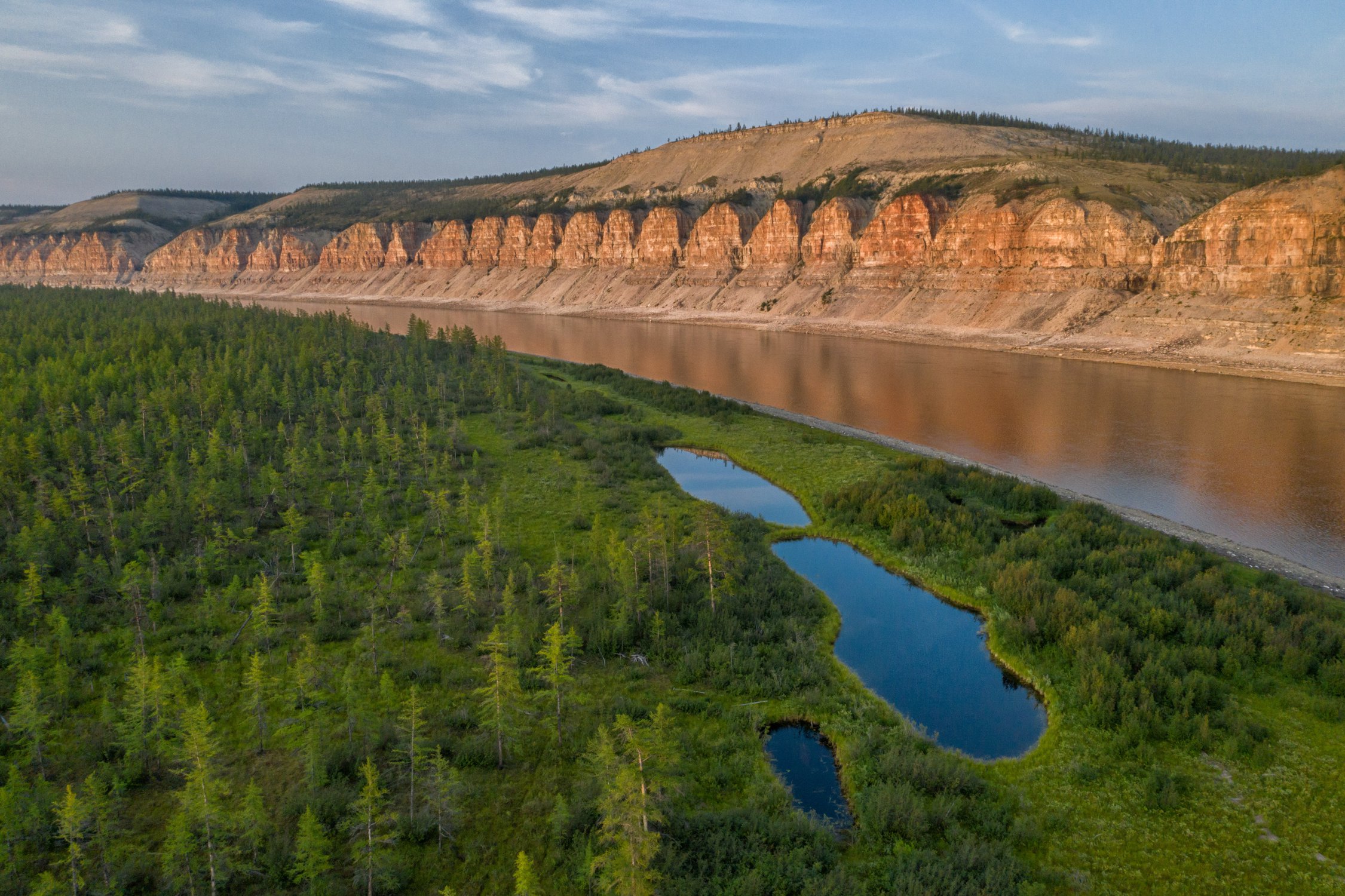 Среднесибирское плоскогорье леса