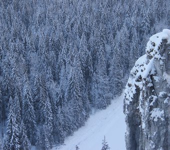 Собрания без свидетелей