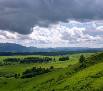 Верховье Драгунского лога