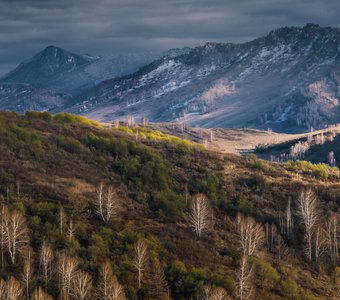 Как весна в горы ходила