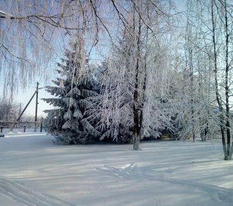 Зимняя сказка в селе