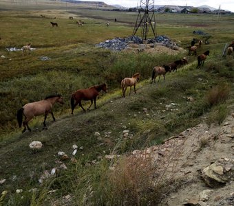 Дружные ребята