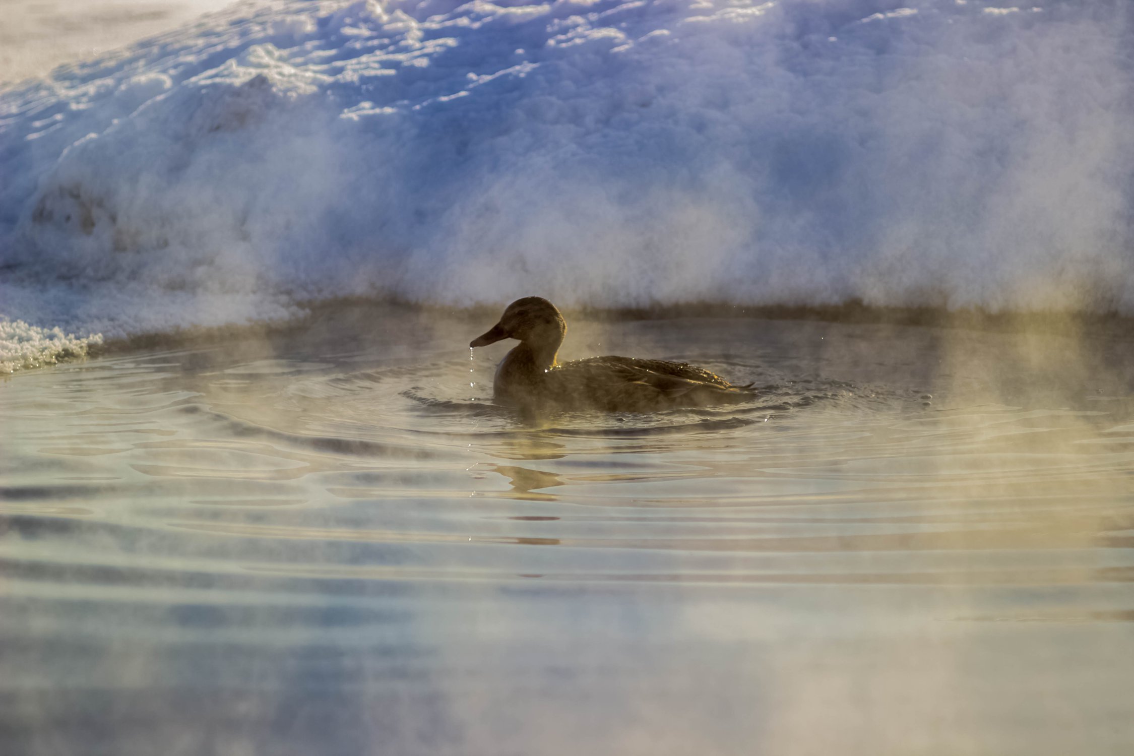 Утренние ванны