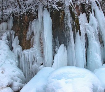 Оскал природы