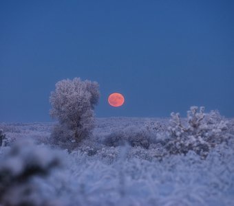 Восход полной луны