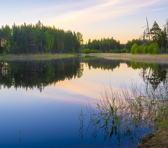 Тишь да Гладь