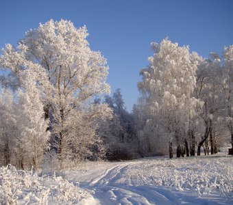 Мороз и солнце