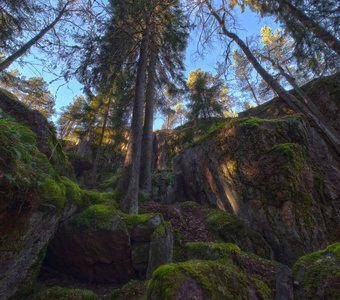Древние разломы в лесах Карельского перешейка