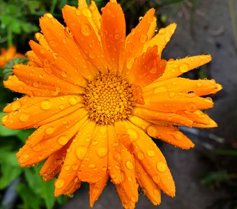 Дождливое утро.