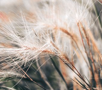 Уже не лето, но еще не осень...