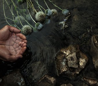 Река Скнига