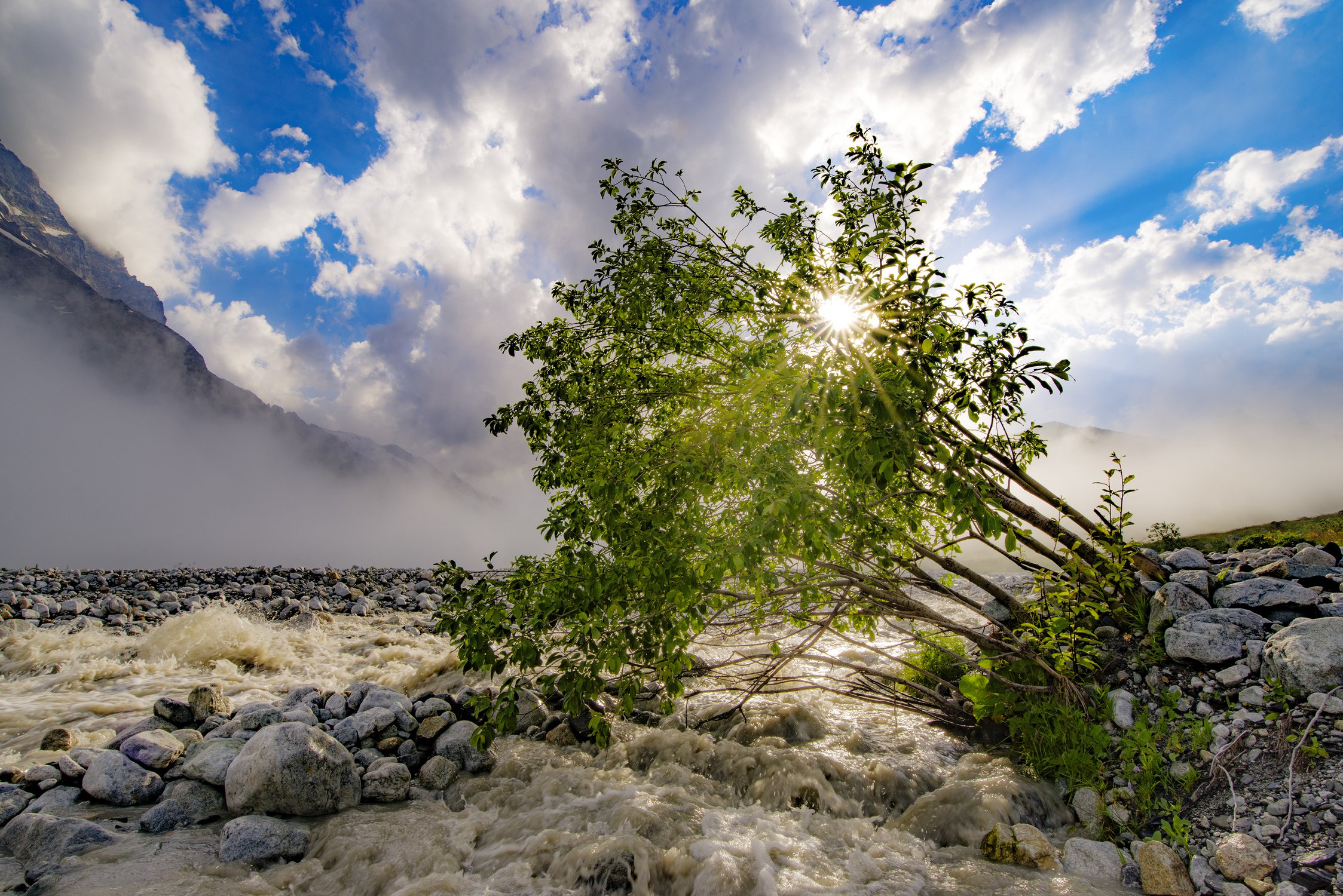 Цепляясь за жизнь