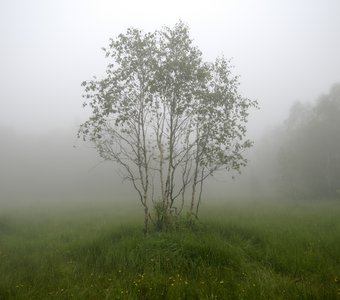 Обособленное положение