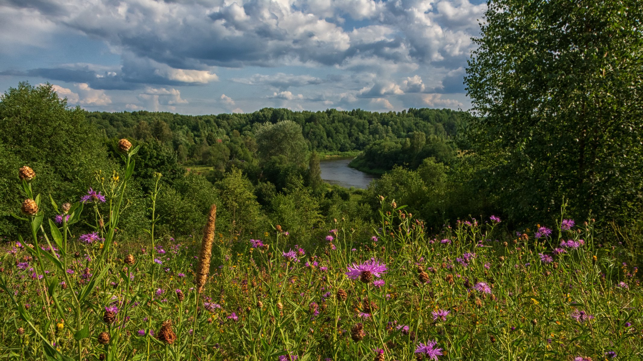 Земли новгородские