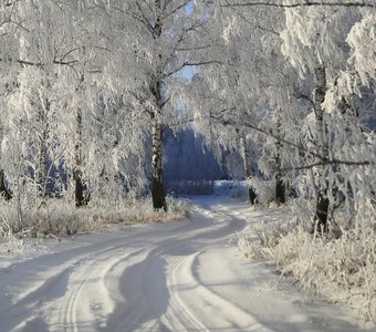 Дорога в зимнюю сказку
