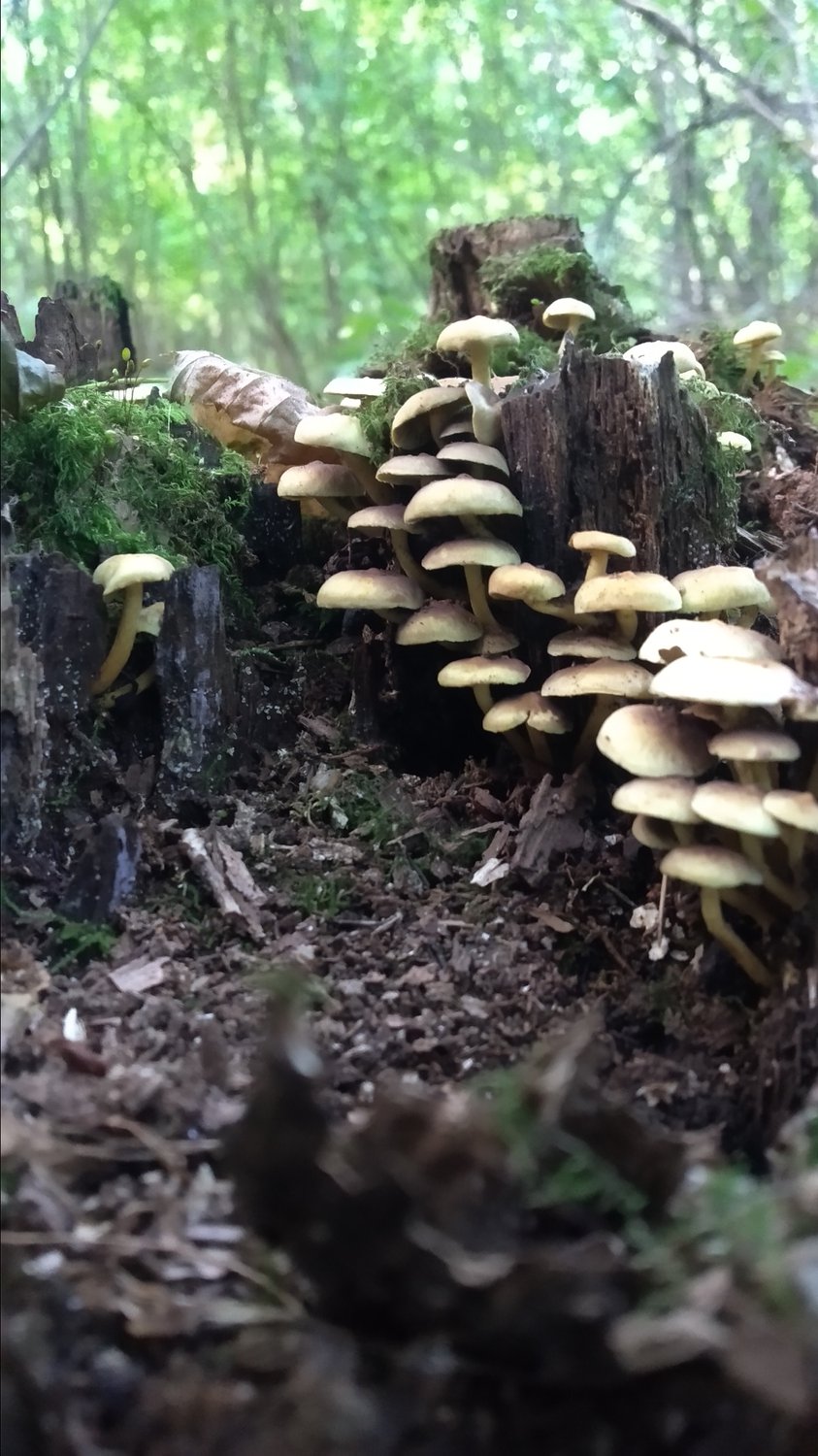 Вместе мы команда