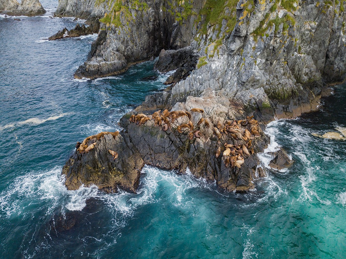 Холостяцкая залёжка