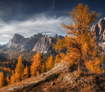 Альпийская осень