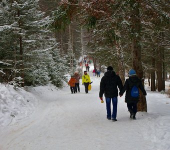 Прогулка по лесу