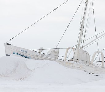 Бороздя ледяные просторы