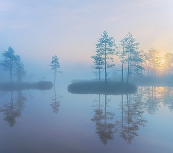 Ленинградская область...