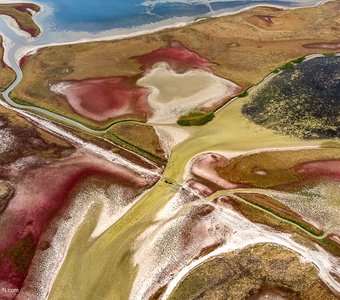 Краски соляных озер