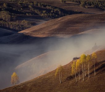 Осенние мотивы