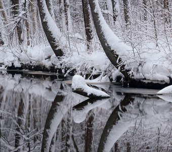 Зеркало зимы