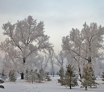 Память