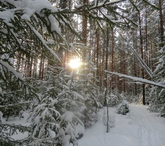 Уральская зима