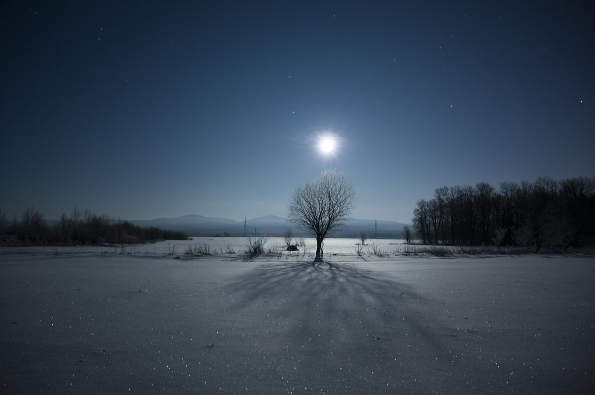 Lunar frost. Морозная Лунная ночь. Морозная ночь звезды Луна. Зимняя Лунная морозная ночь фотография. Фото: морозная Лунная зимняя ночь.