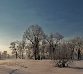 По следам