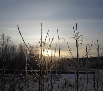 В преддверии заката