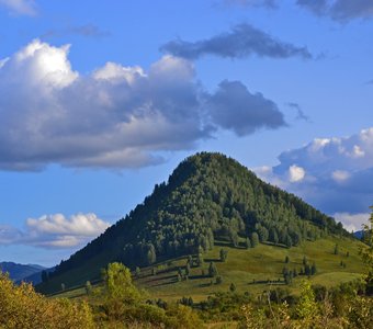 "Пушистая" горка...Алтай.