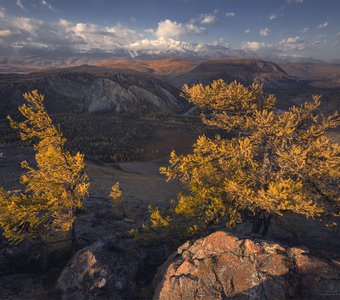 Алтайская классика