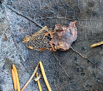 Не вечные ценности