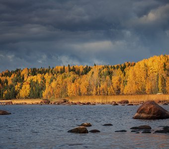 Цвета осени