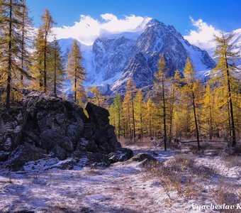 Первый снег и золотая осень на Алтае