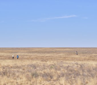 Ультрамарафон — Степь на десятки километров и обжигающий ветер